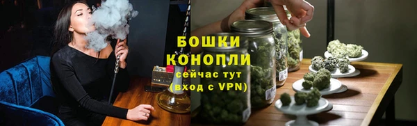 гидра Белоозёрский